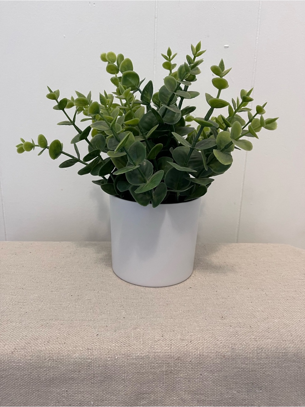 Project 62 Faux Plant